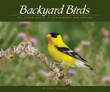 ADVENTURE KEEN - Backyard Birds book (AP36411)