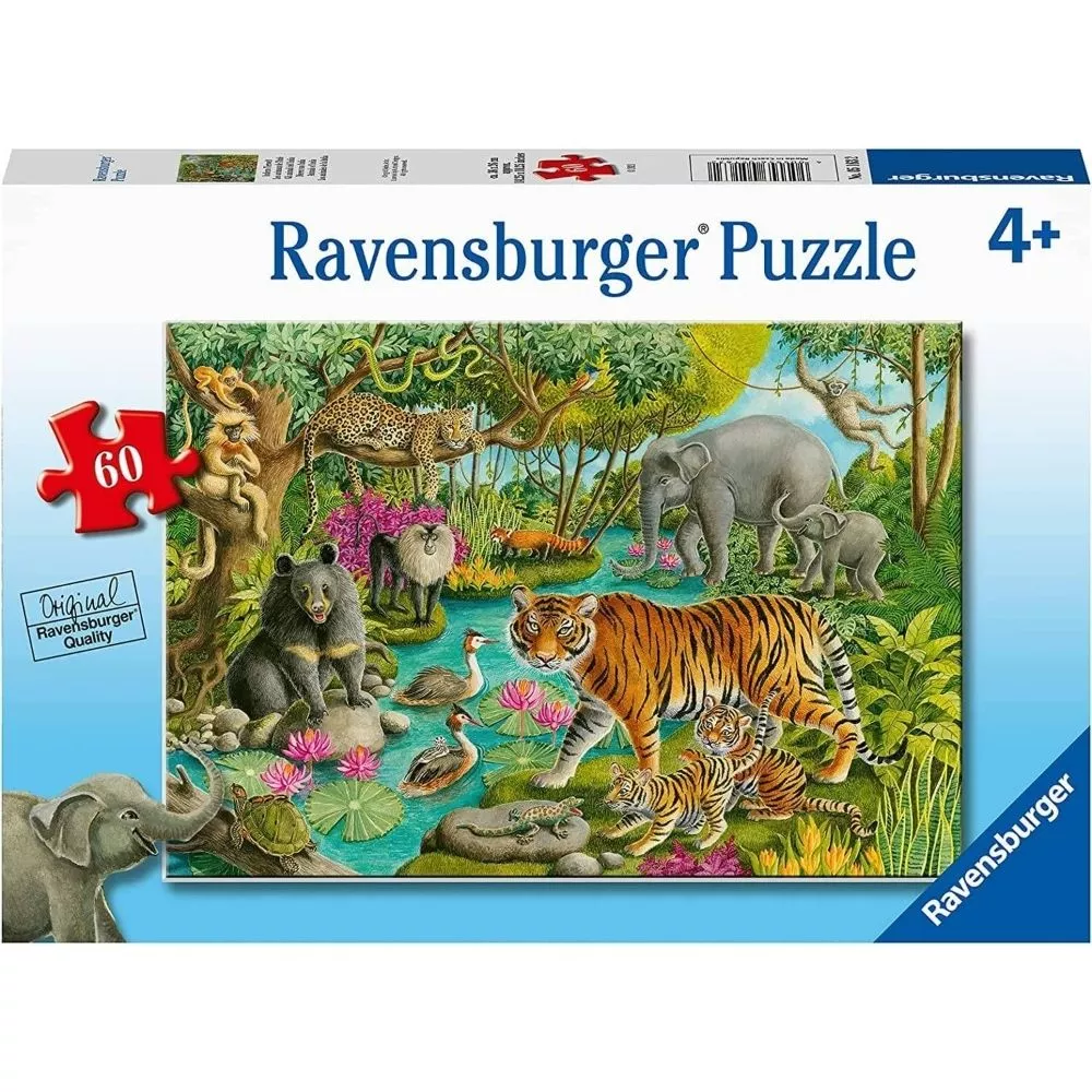 Animals Of India 60 Pc