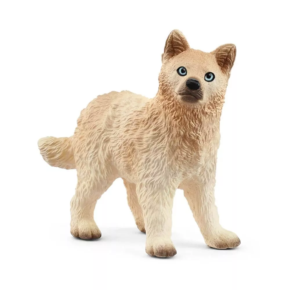 Artic Wolf Cub