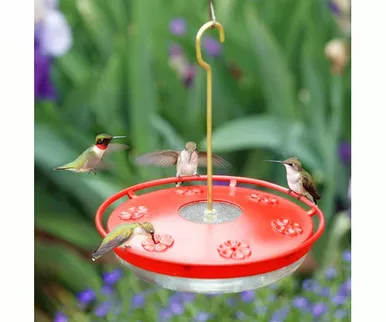 ASPECTS - HighView Excel Hummingbird Feeder (ASPECTS441)