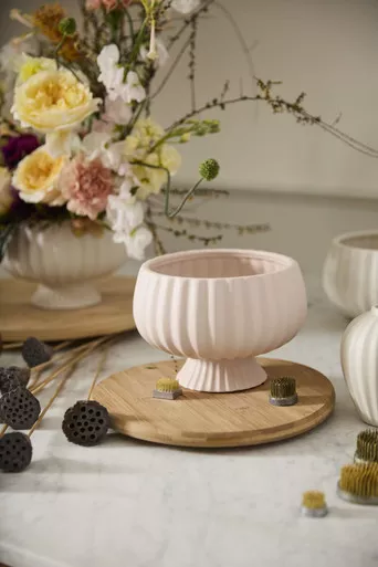 Compote- Sonata Blush (2 Sizes)