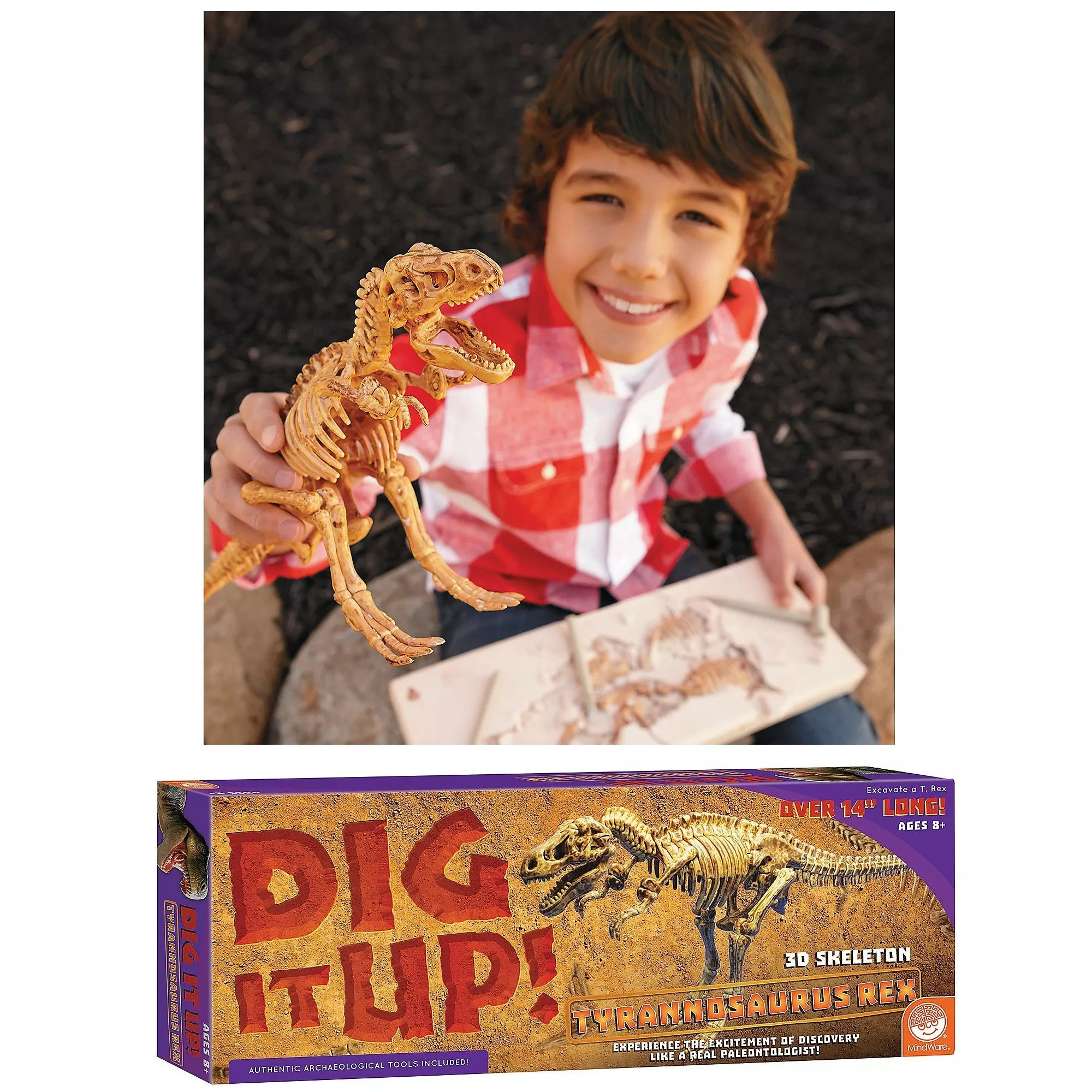 Dig It Up! Tyrannosaurus Rex