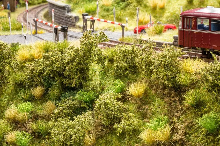 Embankment Vegetation