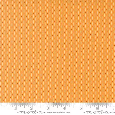 Moda - Raspberry Summer - Beaded Floral, Apricot