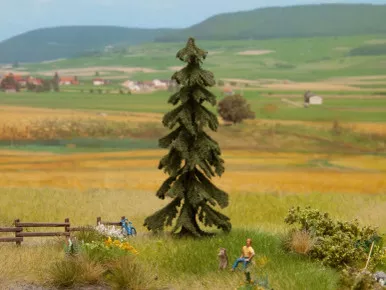 Noch 21919 - Spruce Tree - Multi Scale
