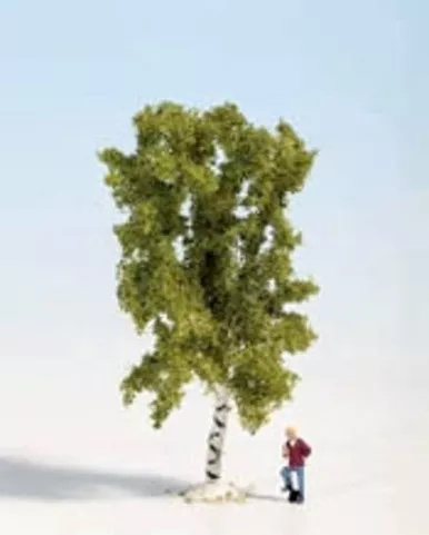 Noch 28520 - Birch Tree - Multi Scale