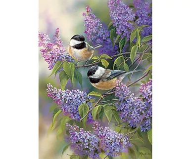 OUTSET MEDIA GAMES - Chickadee Duo - 35 Piece Tray Jigsaw Puzzle (OM58877)