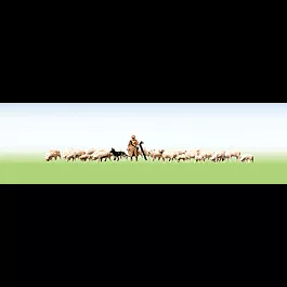 Shepherd and Sheep