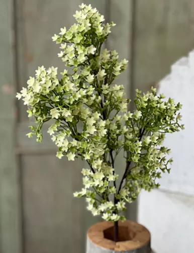 Spray - Andromeda Buds 28", Cream