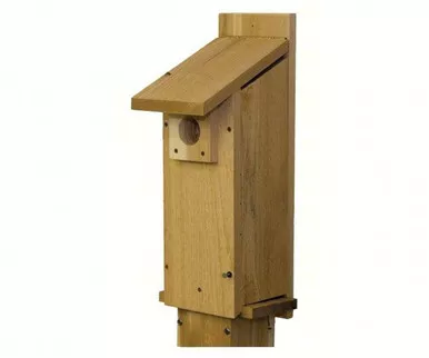STOVALL - Woodpecker House SP4H
