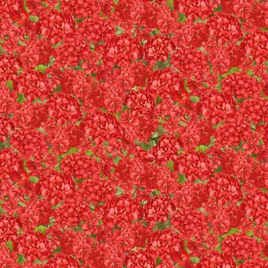 Timeless Treasures - Scarlet Beauty - Packed Geranium, Red